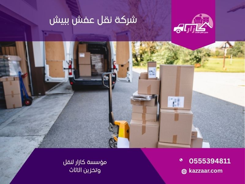 شركة نقل عفش ببيش